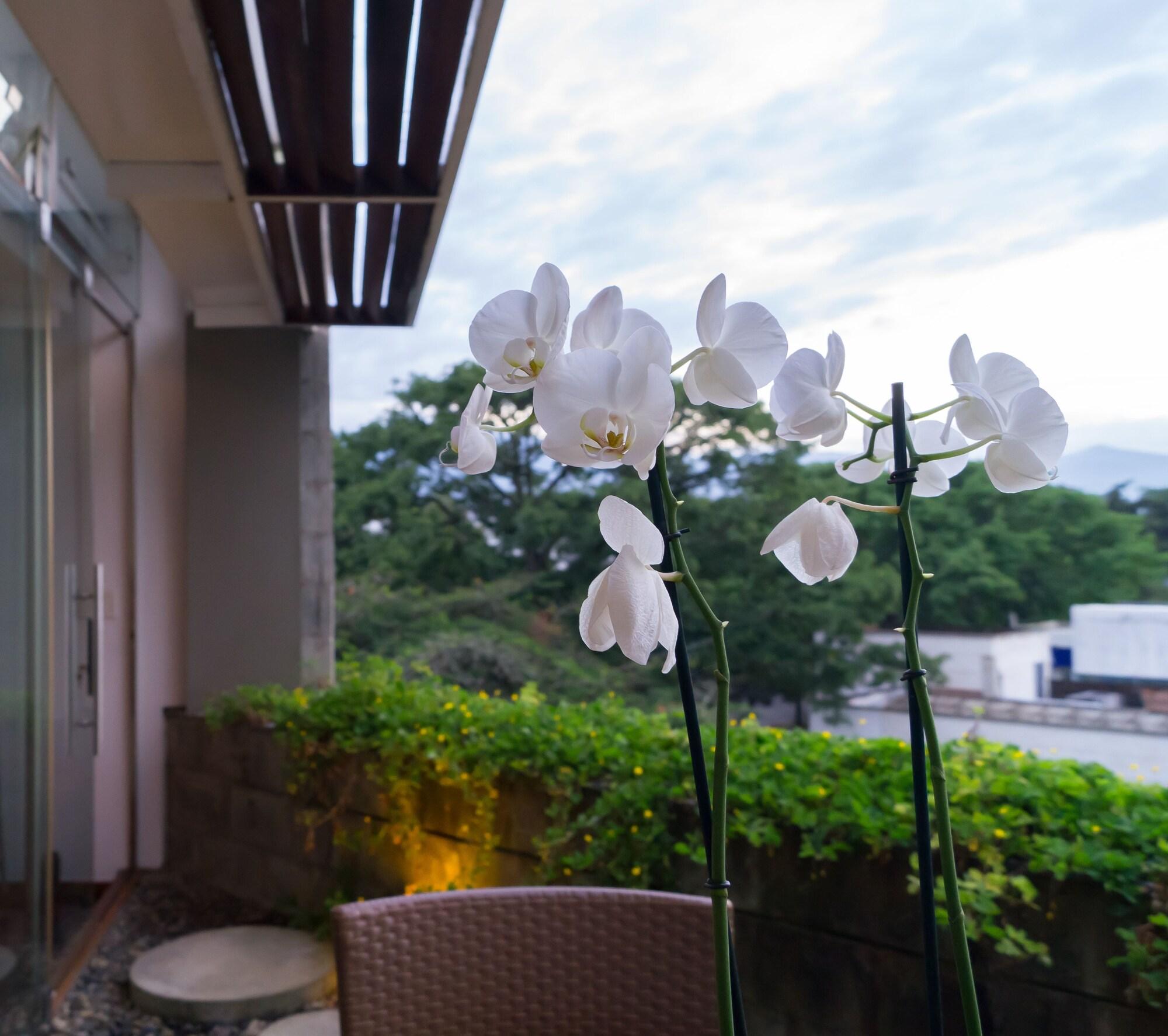 Acquasanta Lofts Hotel Cali Luaran gambar